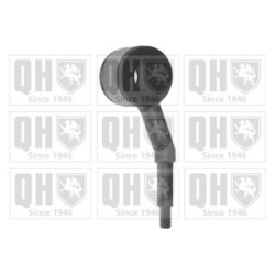 Stabiliser Drop Link (coupling Rod) QLS1711S for FORD