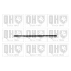 Wheel Alignment Bolt QR3081S for CITROEN PEUGEOT