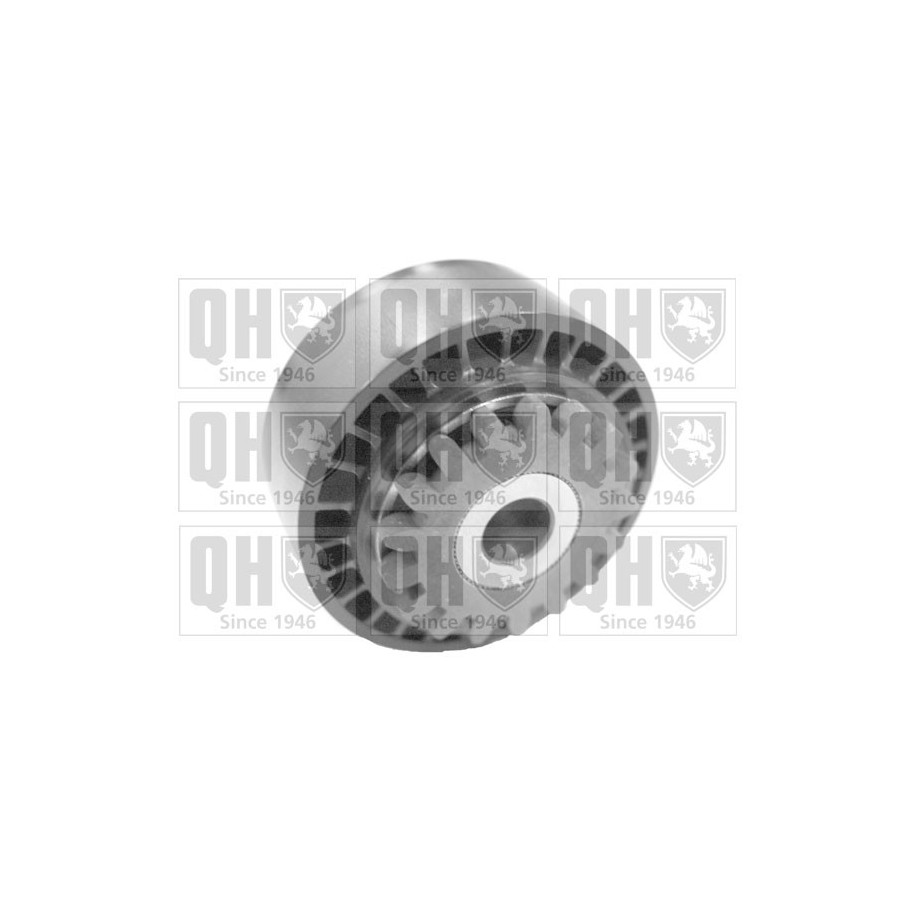 Vribbed Belt Tensioner Pulley QTA1370 for DACIA