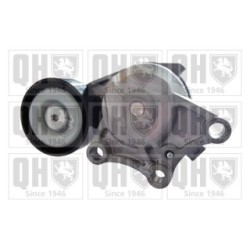 Vribbed Belt Tensioner Pulley QTA1539 for CITROEN
