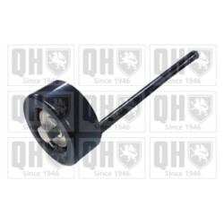 Vribbed Belt Tensioner Pulley QTA1596 for SEAT