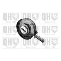 Vribbed Belt Tensioner Pulley QTA763 for BMW