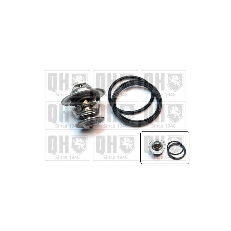Coolant Thermostat QTH481K for AUDI FORD