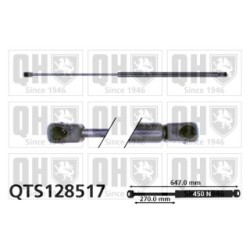 Cargo Area Gas Spring QTS128517 for AUDI 100 A6