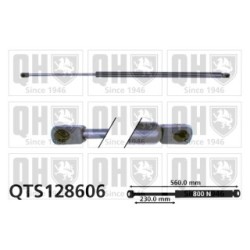 Cargo Area Gas Spring QTS128606 for RENAULT ESPACE