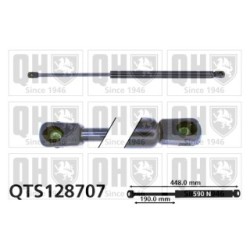Cargo Area Gas Spring QTS128707 for PEUGEOT 206