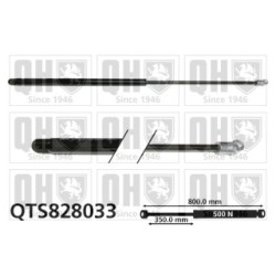 Cargo Area Gas Spring QTS828033 for FIAT DUCATO