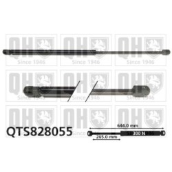 Cargo Area Gas Spring QTS828055 for CHRYSLER