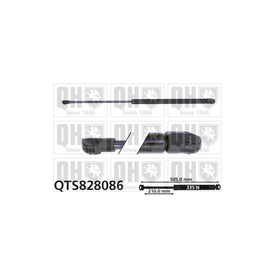 Cargo Area Gas Spring QTS828086 for PEUGEOT 207