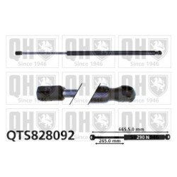 Cargo Area Gas Spring QTS828092 for RENAULT MEGANE