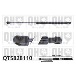 Cargo Area Gas Spring QTS828110 for TOYOTA AURIS