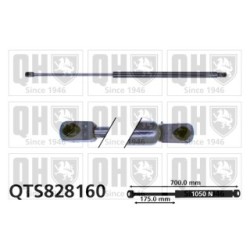 Cargo Area Gas Spring QTS828160 for CITROEN FIAT