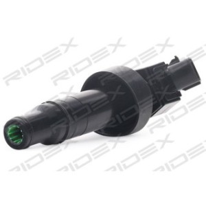Ignition Coil - RIDEX 689C0344