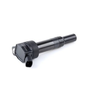 Ignition Coil - RIDEX 689C0345