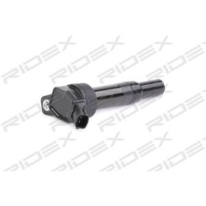 Ignition Coil - RIDEX 689C0345