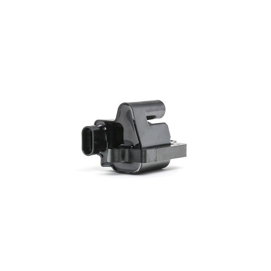 Ignition Coil - RIDEX 689C0350