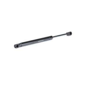 Rear Windscreen Gas Spring - RIDEX 2454G0023