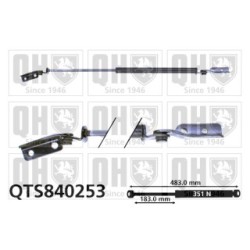 Cargo Area Gas Spring QTS840253 for MERCEDES