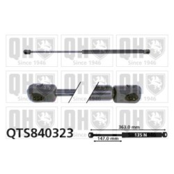 Rear Window Gas Spring QTS840323 for RENAULT