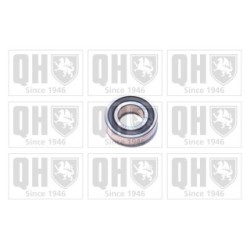 Bearing XB9919