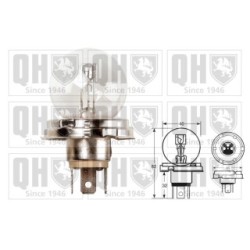 Headlight Bulb QBL410 for APRILIA CAGIVA