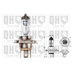 Front Fog Light Bulb QBL472 for ABARTH