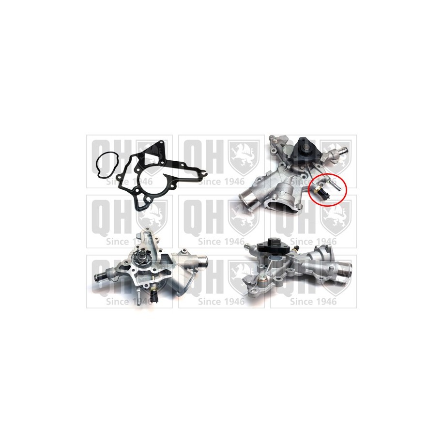 Engine Cooling Water Pump QCP3590BH for VAUXHALL