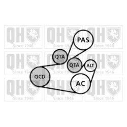 V Ribbed Belt Set QDK111 for CITROEN XSARA