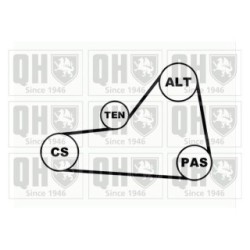 V Ribbed Belt Set QDK18 for SEAT SKODA VW