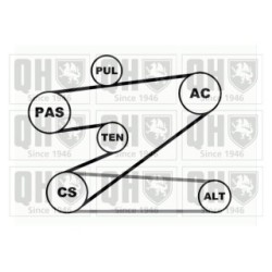V Ribbed Belt Set QDK30 for DACIA NISSAN PROTON