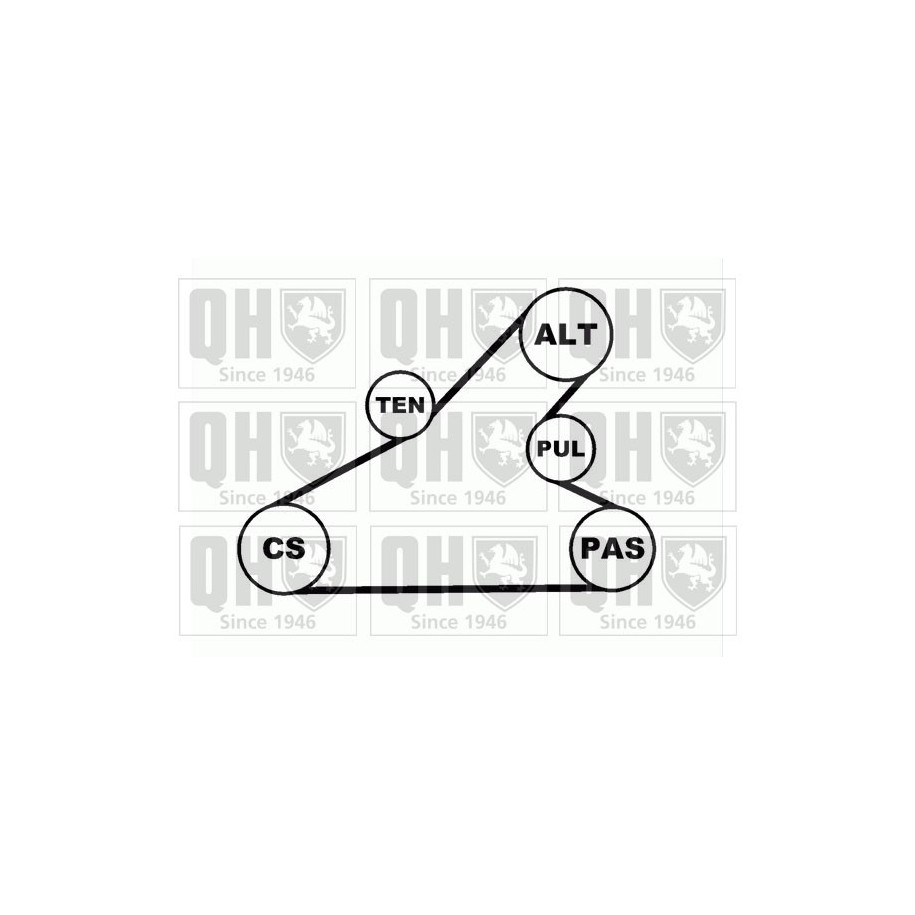 V Ribbed Belt Set QDK52 for CITROEN PEUGEOT