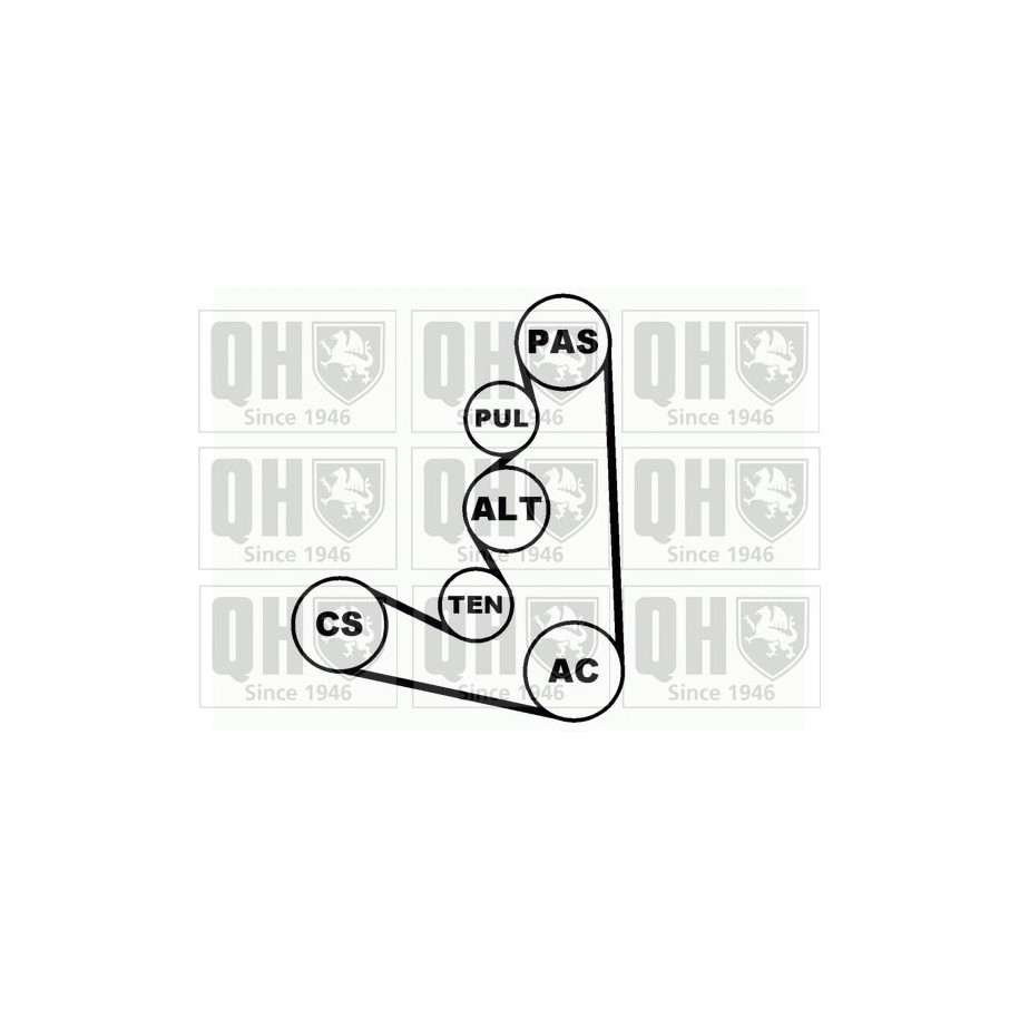 V Ribbed Belt Set QDK57 for CITROEN XANTIA XM