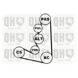 V Ribbed Belt Set QDK6 for CITROEN FIAT LANCIA