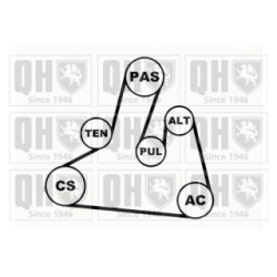 V Ribbed Belt Set QDK67 for CITROEN FORD MAZDA