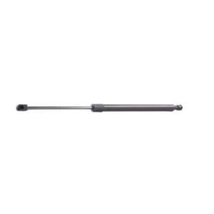 Tailgate Strut - RIDEX 219G0860