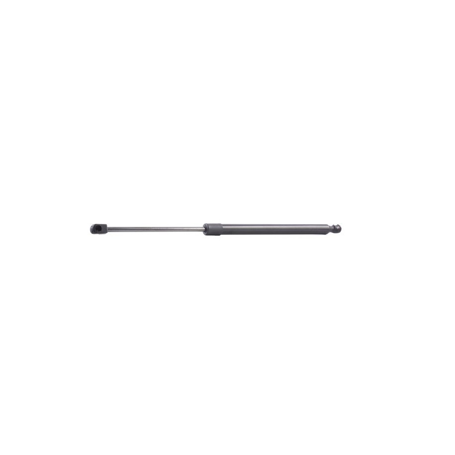Tailgate Strut - RIDEX 219G0860