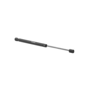 Tailgate Strut - RIDEX 219G0862