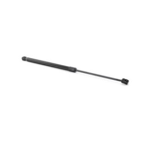 Tailgate Strut - RIDEX 219G0865