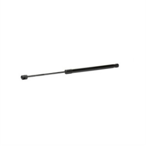Tailgate Strut - RIDEX 219G0870