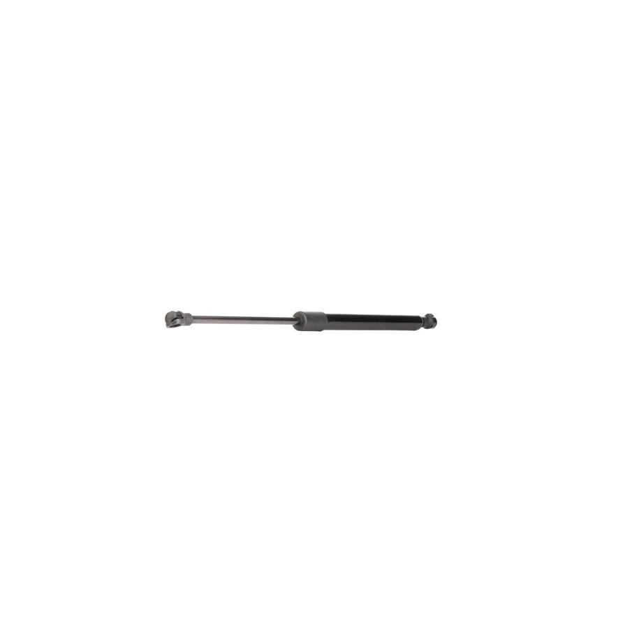 Tailgate Strut - RIDEX 219G0871