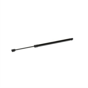 Tailgate Strut - RIDEX 219G0873