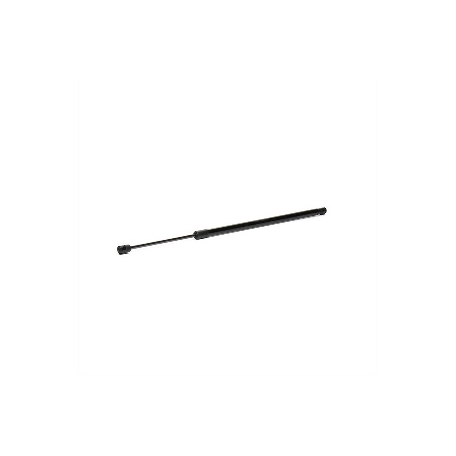 Tailgate Strut - RIDEX 219G0873