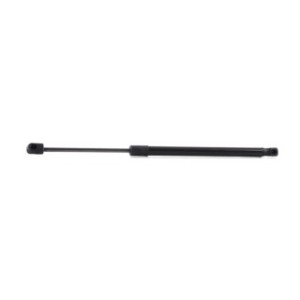 Tailgate Strut - RIDEX 219G0874