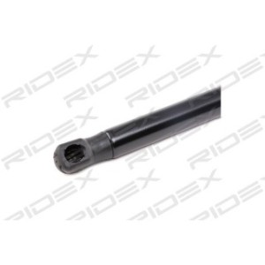 Tailgate Strut - RIDEX 219G0874