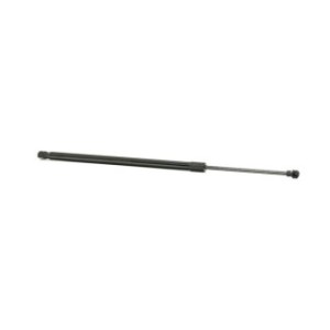 Tailgate Strut - RIDEX 219G0876