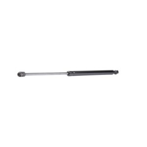 Tailgate Strut - RIDEX 219G0877