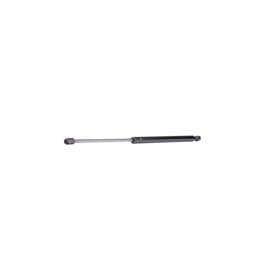 Tailgate Strut - RIDEX 219G0877