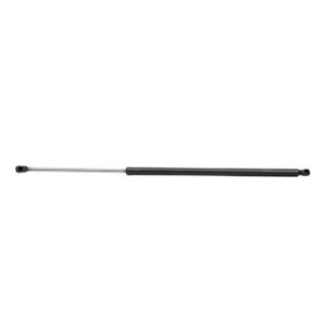 Tailgate Strut - RIDEX 219G0879