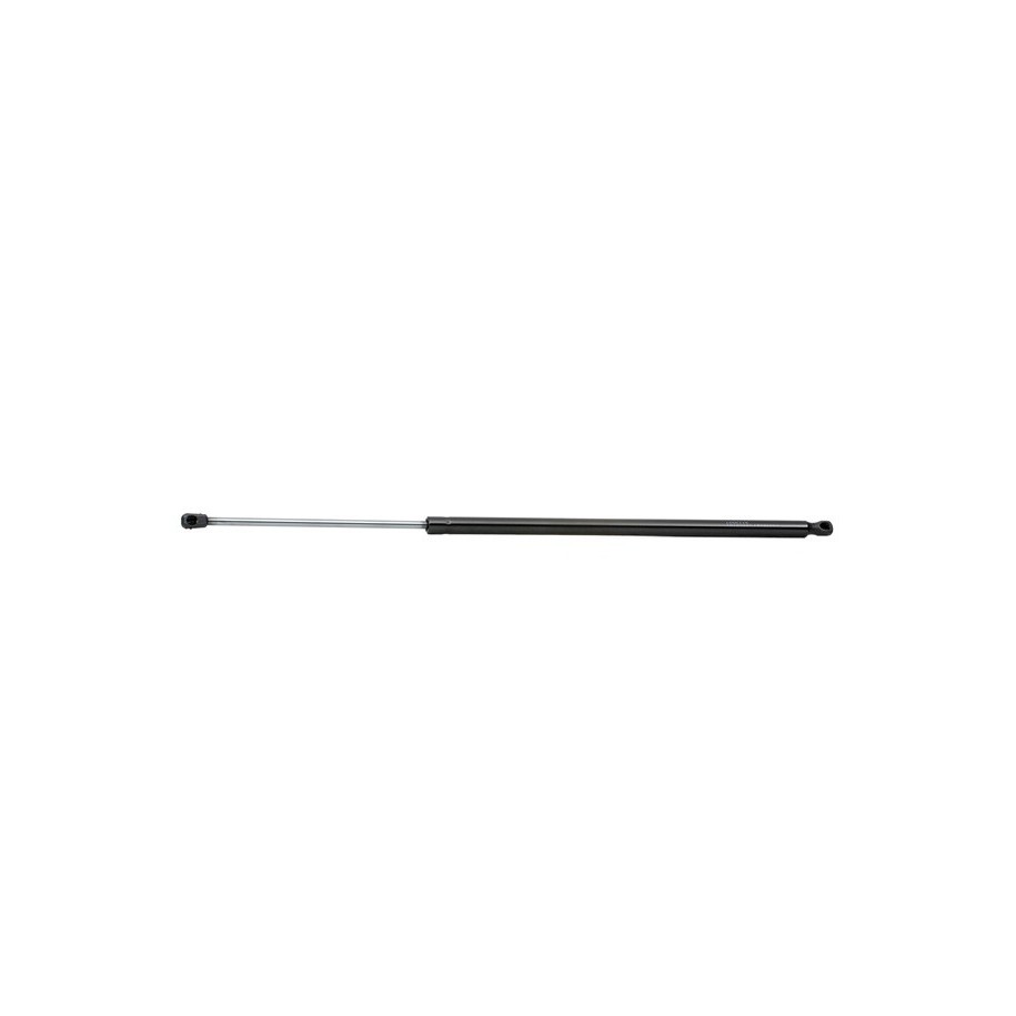 Tailgate Strut - RIDEX 219G0879