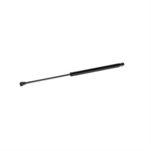 Tailgate Strut - RIDEX 219G0880